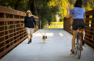 The Twomey Bridge of the Napa Valley Vine Trail in Calistoga.