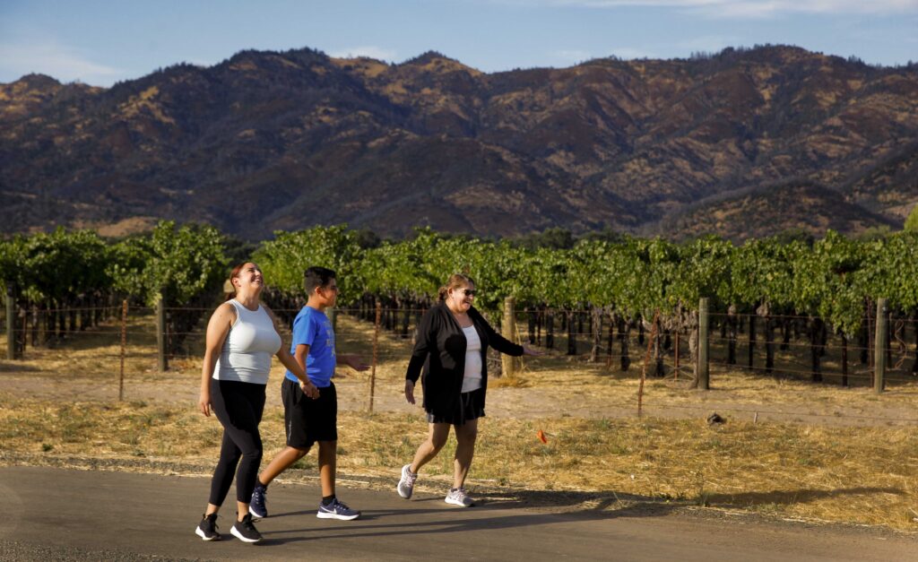 The Napa Valley Vine Trail, St. Helena-to-Calistoga section opened to the public in August 2024.