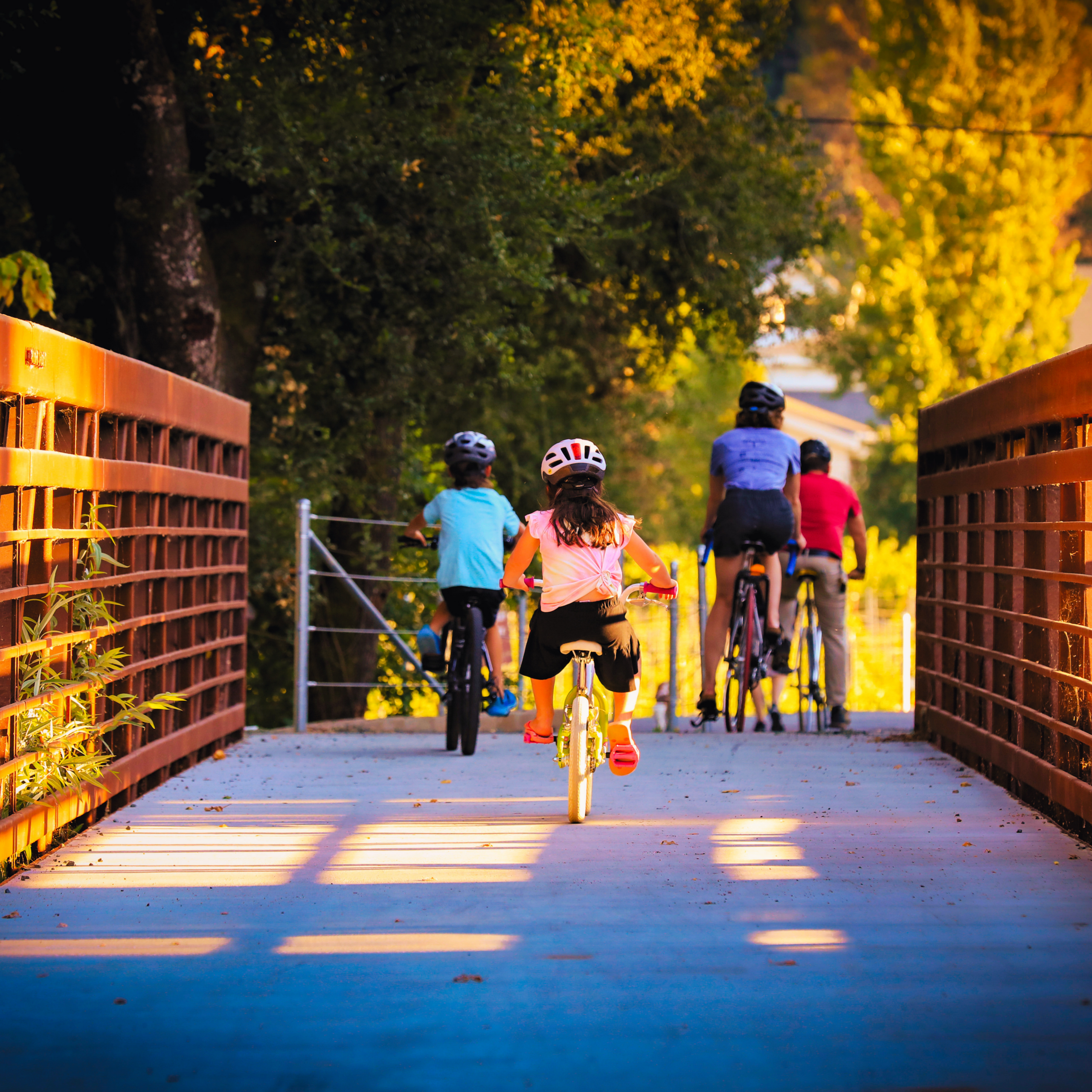 Image of family riding bikes